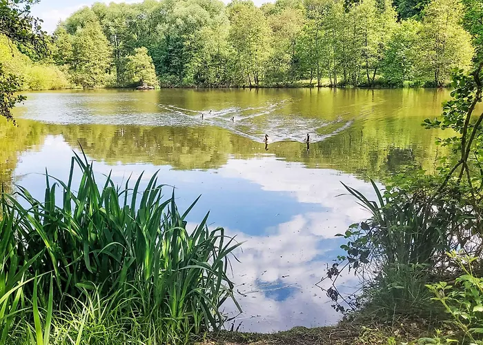 Aschenputtel By Interhome *